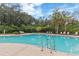 Community pool featuring lounge chairs, trees, and well maintained deck at 6180 Spring Crayfish Ave, New Port Richey, FL 34653