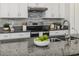 Modern kitchen featuring granite countertops, stainless steel appliances, and white cabinetry at 8812 Parsons Hill Blvd, Wesley Chapel, FL 33545