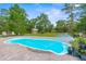 Backyard featuring a pool, surrounded by chairs and a shed in the distance, providing a relaxing outdoor space at 10197 Meadow Wren Ave, Weeki Wachee, FL 34613