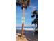 Beautiful beach with palm trees and clear blue water, inviting relaxation and picturesque scenery at 12176 Croft Dr, Largo, FL 33774