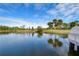 Scenic lake view featuring mature palm trees and blue skies at 13635 Twin Lakes Ln # 13635, Tampa, FL 33618