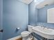Powder room with blue walls features a pedestal sink, mirror, and toilet at 14103 Stonebrook Ct, Tampa, FL 33624