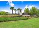 Birchwood Preserve community sign surrounded by lush greenery, palm trees, and a well-manicured lawn at 18824 Birchwood Groves Dr, Lutz, FL 33558