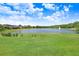 Scenic view of a lake with a fountain, set against a backdrop of lush greenery and blue skies at 18824 Birchwood Groves Dr, Lutz, FL 33558