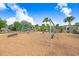 Community playground featuring swings, slides, and climbing structures for Gathering fun and recreation at 18824 Birchwood Groves Dr, Lutz, FL 33558