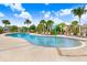 Gathering friendly pool featuring a zero entry, splash pad features, and plenty of lounge seating surrounded by mature palm trees at 18824 Birchwood Groves Dr, Lutz, FL 33558