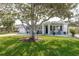 Inviting single-story home featuring a lush green lawn, adorned with a mature shade tree, and front porch seating at 2271 Carolyn Dr, Dunedin, FL 34698