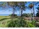 A view of the park and shoreline at 2334 Tropical Shores Se Dr, St Petersburg, FL 33705