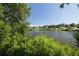 Scenic view of the tranquil lake and surrounding community, offering peaceful waterfront living at 2436 Beacon Groves Blvd, Palm Harbor, FL 34683