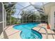 Enclosed screened-in pool area with a stunning pool and lush greenery offering privacy at 2436 Beacon Groves Blvd, Palm Harbor, FL 34683