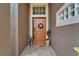 Welcoming front entrance featuring a decorative door, potted plants and tiled entryway at 2803 Abbey Grove Dr, Valrico, FL 33594