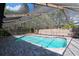 Large screened-in pool featuring a brick patio and lush landscaping at 4202 Deepwater Ln, Tampa, FL 33615