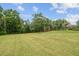 Lush backyard with green grass, mature trees lining the back, and a fire pit at 4608 Scott Rd, Lutz, FL 33558