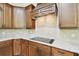 Detailed shot of granite countertops and custom cabinetry in the kitchen at 4608 Scott Rd, Lutz, FL 33558