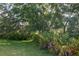 Lush backyard with mature trees and verdant landscaping, offering serene outdoor space at 5446 Suncatcher Dr, Wesley Chapel, FL 33545