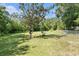 Spacious lawn with mature trees and a fence in the backyard at 5960 Boyette Rd, Wesley Chapel, FL 33545