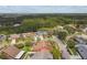 Neighborhood aerial showcasing homes nestled among lush greenery, offering privacy and serene views at 8601 Chadwick Dr, Tampa, FL 33635