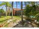 The home's backyard is seen with tropical palm trees and a partial view of the pool at 8601 Chadwick Dr, Tampa, FL 33635