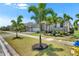 Home exterior features lush landscaping with palm trees along a sidewalk in a walkable neighborhood at 1028 Signet Dr, Apollo Beach, FL 33572