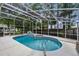 Inviting screened pool with spa, perfect for outdoor relaxation at 18017 Palm Breeze Dr, Tampa, FL 33647