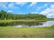 Picturesque view of a tranquil pond surrounded by lush greenery, creating a serene backdrop at 19238 Old Spanish Rd, Tampa, FL 33647
