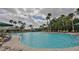 A large outdoor pool is surrounded by palm trees, lounge chairs and lush tropical landscaping at 311 Knottwood Ct, Sun City Center, FL 33573