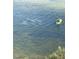 An intriguing view of paddle boarder with manatees swimming near shore at 3236 Gulf Winds Cir, Hernando Beach, FL 34607