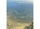 Scenic waterfront view featuring clear waters with visible manatees and a wading bird near the shore at 3236 Gulf Winds Cir, Hernando Beach, FL 34607
