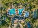 Aerial view of resort-style community pools, waterslides, sun umbrellas and palm trees at 3922 Silverlake Way, Wesley Chapel, FL 33544