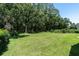 Large grassy backyard surrounded by trees, providing a private and peaceful outdoor space at 4049 Wellington Pkwy, Palm Harbor, FL 34685