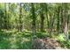 Beautiful vacant land featuring mature trees and a lush green understory, perfect for building a dream home at 4049 Wellington Pkwy, Palm Harbor, FL 34685