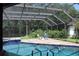 Relaxing screened-in pool area with lounge chairs and a view of the backyard's lush green foliage at 4049 Wellington Pkwy, Palm Harbor, FL 34685
