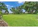 Large, well-kept backyard featuring an expansive green lawn shaded by mature trees at 414 Summit Chase Dr, Valrico, FL 33594