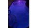 Inviting pool with illuminated by vivid purple underwater lights and convenient step access at 4500 Onorio St, New Port Richey, FL 34653