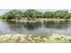 Backyard view of a serene pond with algae, framed by trees and sky at 5115 Stonehaven Ct, Tampa, FL 33624