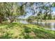 Picturesque view of the pond from the property, surrounded by mature trees and greenery at 5115 Stonehaven Ct, Tampa, FL 33624