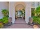 Inviting front entrance with double doors, beautiful potted plants, and decorative planters at 5417 Tybee Island Dr, Apollo Beach, FL 33572