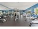 Well-equipped fitness center featuring modern exercise machines, free weights, and floor-to-ceiling mirrors at 6123 Golden Nettle Dr, Apollo Beach, FL 33572