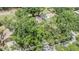 Aerial shot of a house and backyard with mature landscaping and trees providing maximum privacy at 660 Channing Dr, Palm Harbor, FL 34684