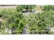 Lush mature trees provide ample shade and privacy to this home with a pool in the backyard at 660 Channing Dr, Palm Harbor, FL 34684