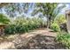 Large backyard featuring lush greenery and ample space for gardening and recreation at 660 Channing Dr, Palm Harbor, FL 34684