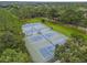 Aerial view of six community tennis courts surrounded by greenery and trees at 9348 Deer Creek Dr, Tampa, FL 33647