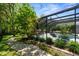Lush backyard featuring a screened-in pool area with verdant trees and plants at 11723 Gothic Ln, Tampa, FL 33626