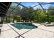 Gorgeous screened-in pool featuring lush landscaping and ample space for outdoor activities at 11723 Gothic Ln, Tampa, FL 33626