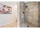 Walk-in shower features neutral tile, a rainfall shower head, and mosaic floor at 118 S Manhattan Ave, Tampa, FL 33609