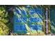 Aerial view of multiple pickleball courts providing ample space for recreational activities at 12009 Wandsworth Dr, Tampa, FL 33626