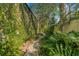 Lush garden walkway with greenery and stone path at 122 Miramar Ne Blvd, St Petersburg, FL 33704