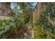Beautiful garden walkway with mature plantings and vine-covered wall at 122 Miramar Ne Blvd, St Petersburg, FL 33704