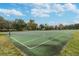 Outdoor basketball court with green playing surface, trees in the background, and ample space for play at 12716 Evington Point Dr, Riverview, FL 33579