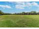 A well-maintained community field with lush grass and mature trees, offering open space for recreation at 12716 Evington Point Dr, Riverview, FL 33579